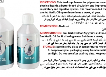Garlic Oil