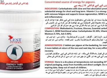 Energy Tab